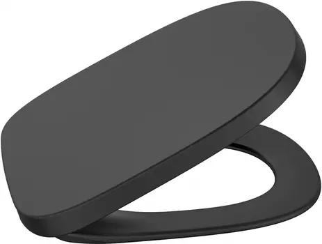 Крышка-сиденье Roca Beyond 801B8264B onix