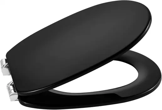 Крышка-сиденье Roca Carmen 801B5256B черная