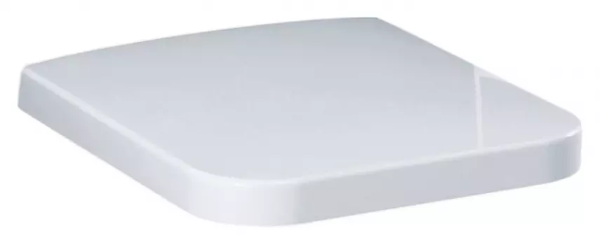 Крышка-сиденье Simas Flow FL28 FL28bi/cr