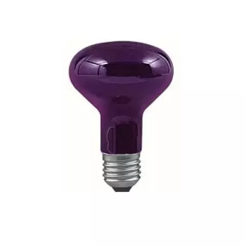 Лампа накаливания Paulmann R80 Е27 75W затемненный свет 59170 /59170
