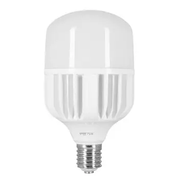 Лампа светодиодная сверхмощная Gauss E40 90W 6500К матовая 11734392
