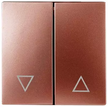 Лицевая панель ЭРА выключателя двухклавишного медь 12-6203-14 Б0047858