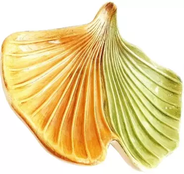 Мыльница Primanova Ginkgo D-15571