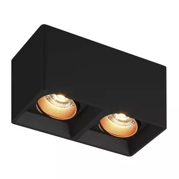 Накладной светильник Denkirs DK3085-BK+BR