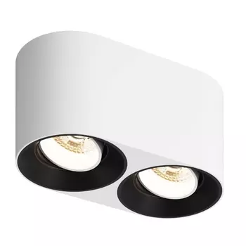 Накладной светильник Denkirs DK3096-WB+WH