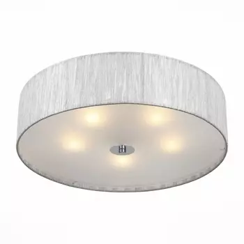 Накладной светильник ST Luce Rondella SL357.102.05