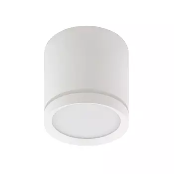 Накладной светодиодный светильник Denkirs DK4013-WH