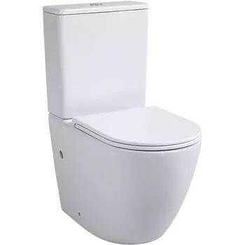 Напольный унитаз Avimano Emotion 1011030 белый, глянцевый, микролифт