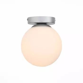 Настенно-потолочный светильник Evoluce Acini SL717.501.01