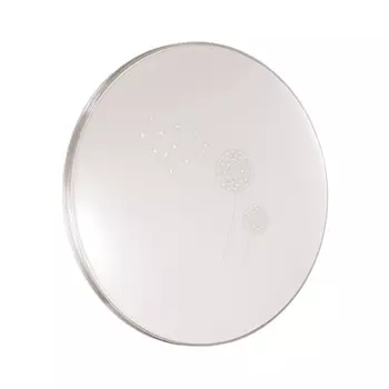 Настенно-потолочный светильник Sonex Airita 3005/EL