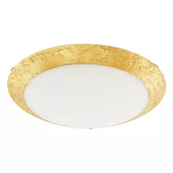 Настенно-потолочный светодиодный светильник Eglo Montenovo 98023 /98023