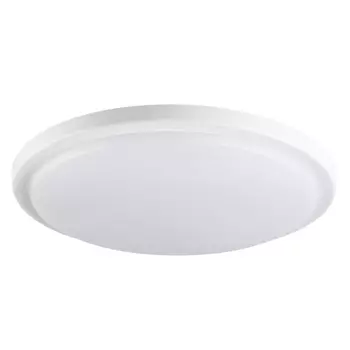 Настенно-потолочный светодиодный светильник Kanlux ORTE LED 24W-NW-O-SE 29163 /29163