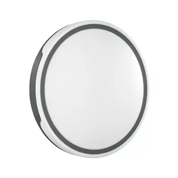 Настенно-потолочный светодиодный светильник Sonex Avella 3051/EL