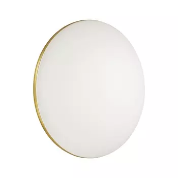 Настенно-потолочный светодиодный светильник Sonex Lassa 3043/EL