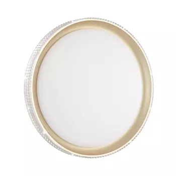 Настенно-потолочный светодиодный светильник Sonex Shiny 3054/DL