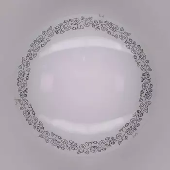 Настенный светильник Citilux Вьюнок CL917010
