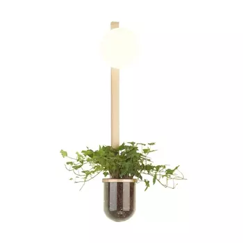 Настенный светильник Odeon Light Flower 4682/1WB