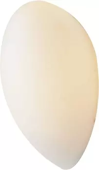 Настенный светильник ST Luce Bagno SL507.551.01 SL507.551.01-склад