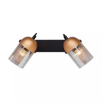 Настенный светодиодный светильник Eurosvet 20122/2 черный/золото