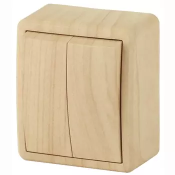 Переключатель двухклавишный с подсветкой ЭРА Эксперт 10AX 250V 11-1205-11