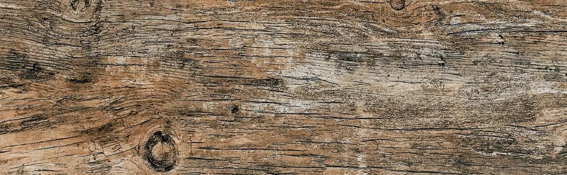 Плитка Cersanit Northwood NW4M012 бежевая