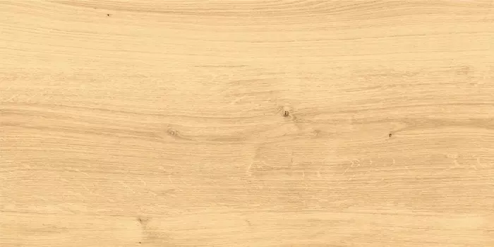 Плитка Cersanit Woodhouse WS4O012D бежевая