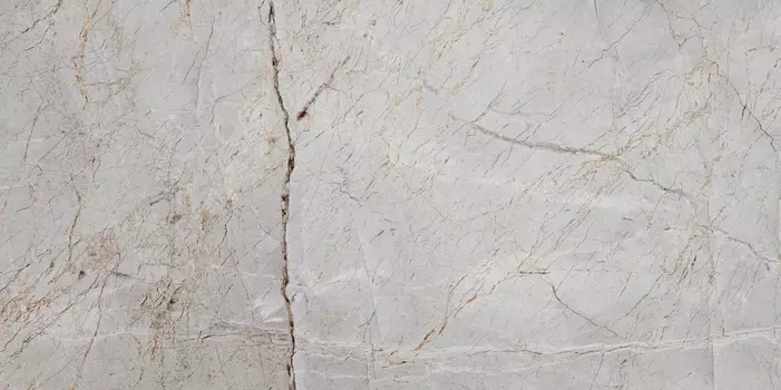 Плитка Laparet Silver Root 60x120 серая, полированная