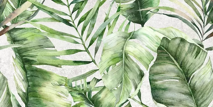 Плитка настенная Global Tile Sombra GT GT146VG 50x25 серая. тропики 2