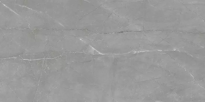 Плитка настенная Laparet Savoy тёмно-серый 20х40 08-01-06-2460