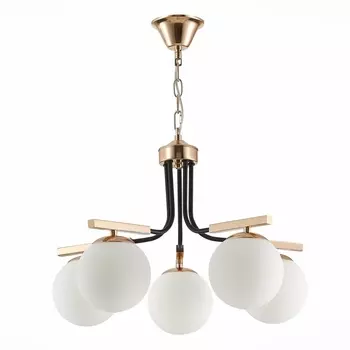 Подвесная люстра Evoluce Sonco SLE106803-05