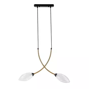 Подвесная люстра Indigo Fiore 13001/2P Black V000140