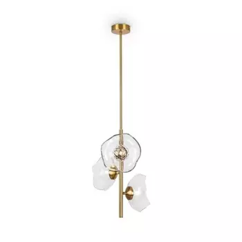 Подвесная люстра Maytoni Miracle MOD207PL-03BS