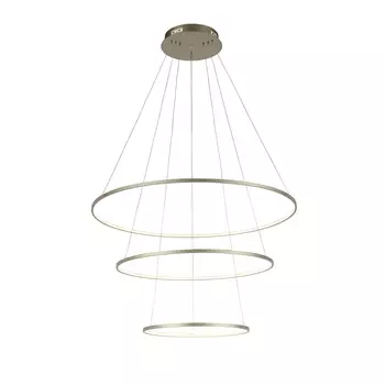 Подвесная светодиодная люстра ST Luce Erto SL904.203.03