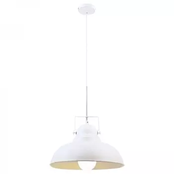 Подвесной светильник Arte Lamp Martin A5213SP-1WG
