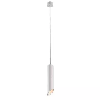 Подвесной светильник Arte Lamp Pilon-Silver A1536SP-1WH