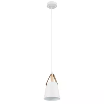 Подвесной светильник Arte Lamp THOMAS A7032SP-1WH