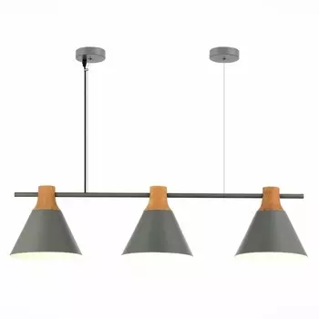 Подвесной светильник Evoluce MODICA SLE125113-03