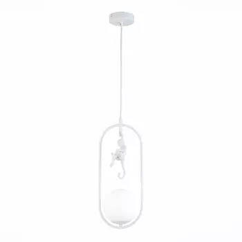 Подвесной светильник Evoluce Tenato SLE115123-01