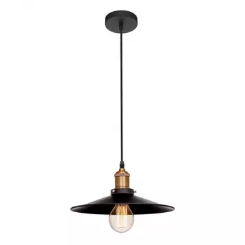 Подвесной светильник Loft IT Loft1102