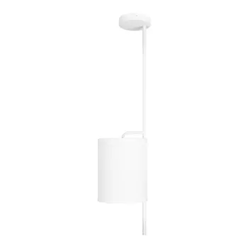 Подвесной светильник Loft IT Ritz 10253P White