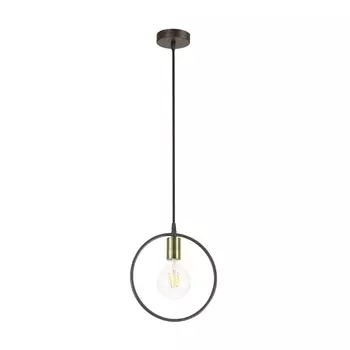 Подвесной светильник Lumion Darryl 3691/1