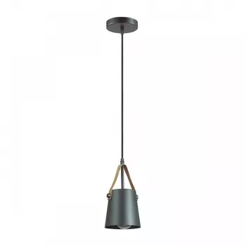 Подвесной светильник Lumion Tristen 3641/1