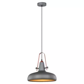 Подвесной светильник Lussole Loft GRLSP-9814