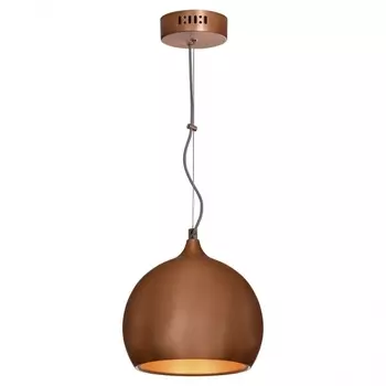 Подвесной светильник Lussole Loft LSN-6106-01