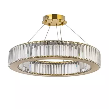 Подвесной светодиодный светильник Arti Lampadari Anzio L 1.5.60.100 G