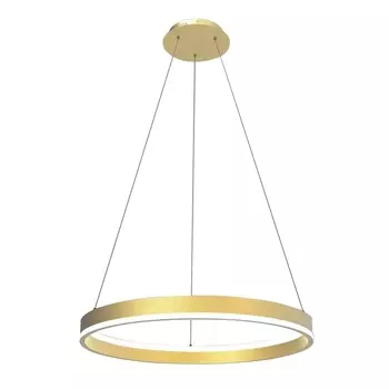 Подвесной светодиодный светильник Lightstar Rotonda 736402