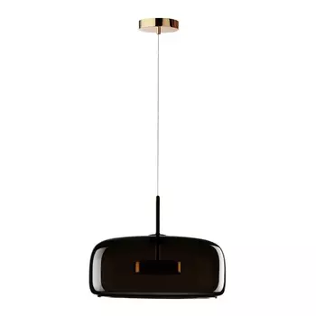 Подвесной светодиодный светильник Loft IT Dauphin 10040B
