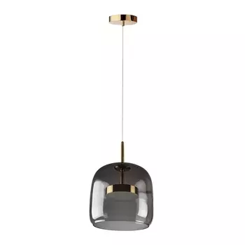 Подвесной светодиодный светильник Loft IT Dauphin 10041A