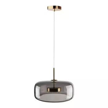 Подвесной светодиодный светильник Loft IT Dauphin 10041B