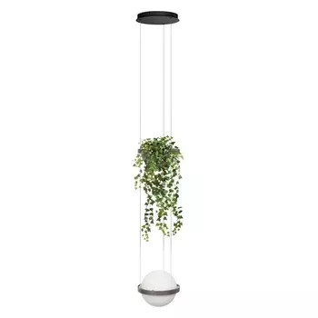 Подвесной светодиодный светильник Loft IT Jardin 10121/1P Dark grey